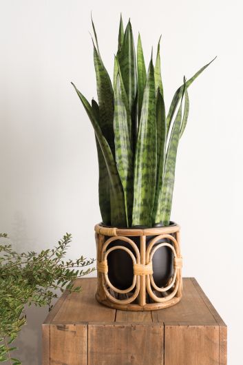 Boca Collection Planters - life of kuhl @HOME
