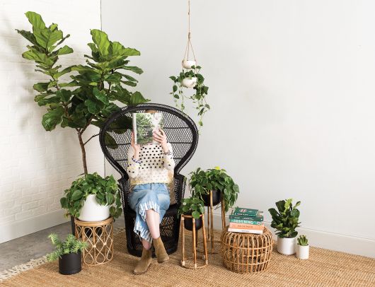 Boca Collection Planters - life of kuhl @HOME