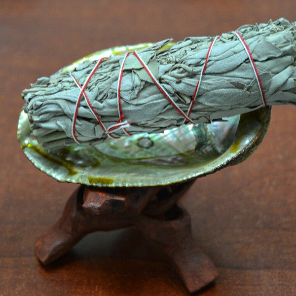 Abalone Smudge Kit Burning Incense - life of kuhl @HOME